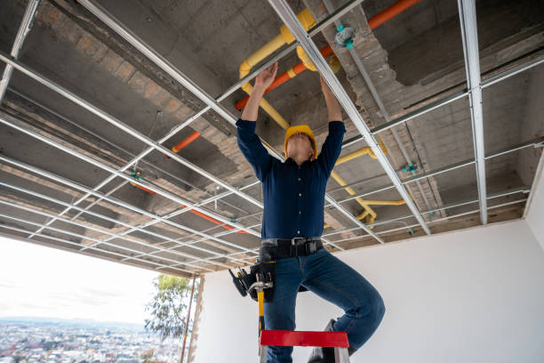Best Plumbing Installation Services  in Tuscola, IL
