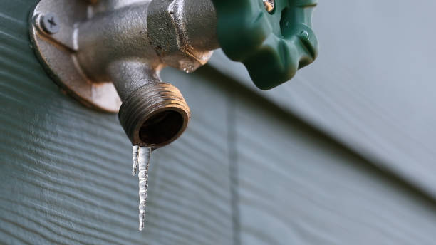 Best Septic Systems  in Tuscola, IL